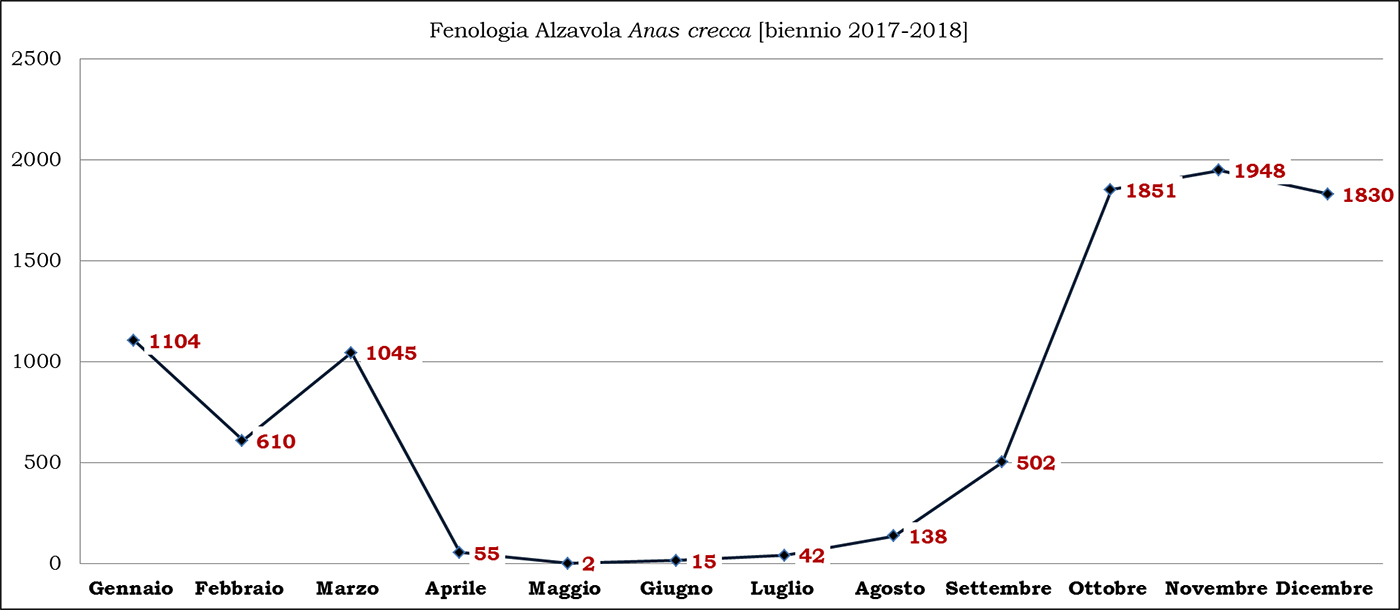 02-alzavola biennio 2017-2018