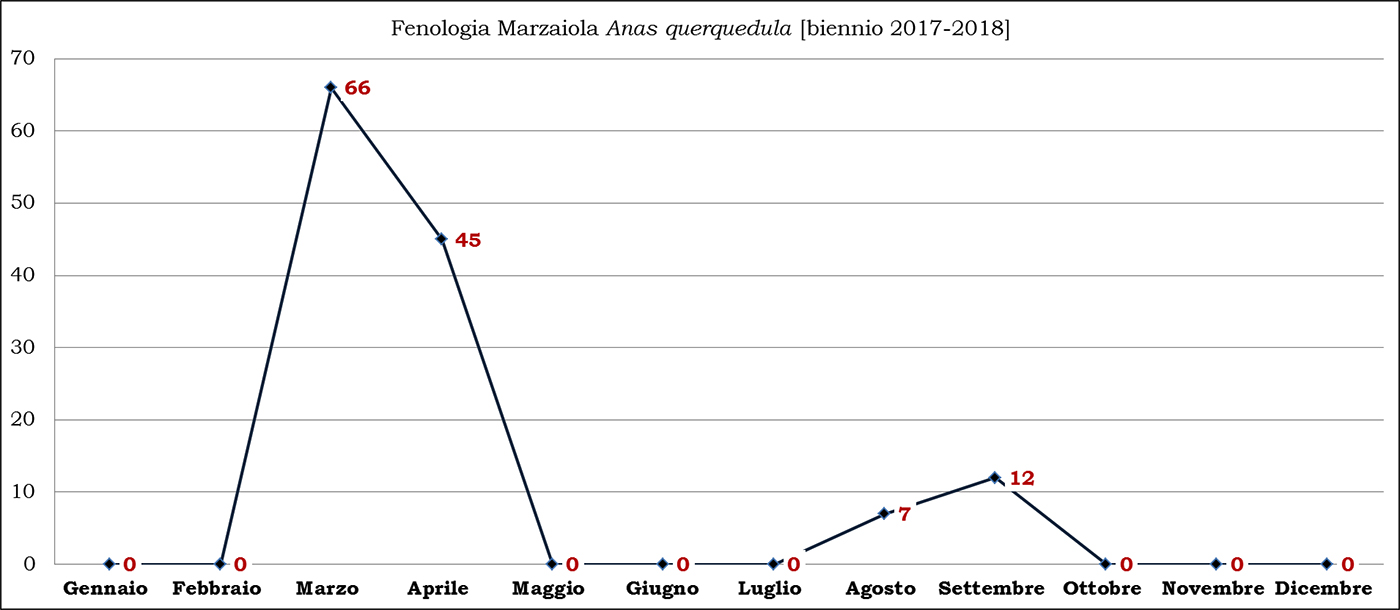 03-marzaiola biennio 2017-2018