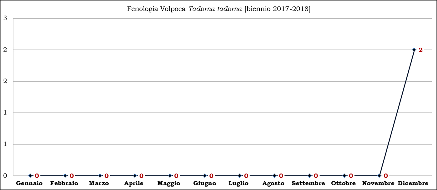 04-volpoca biennio 2017-2018