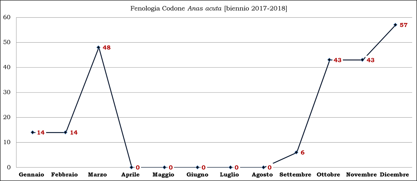 05-codone biennio 2017-2018