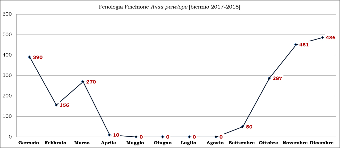 06-fischione biennio 2017-2018