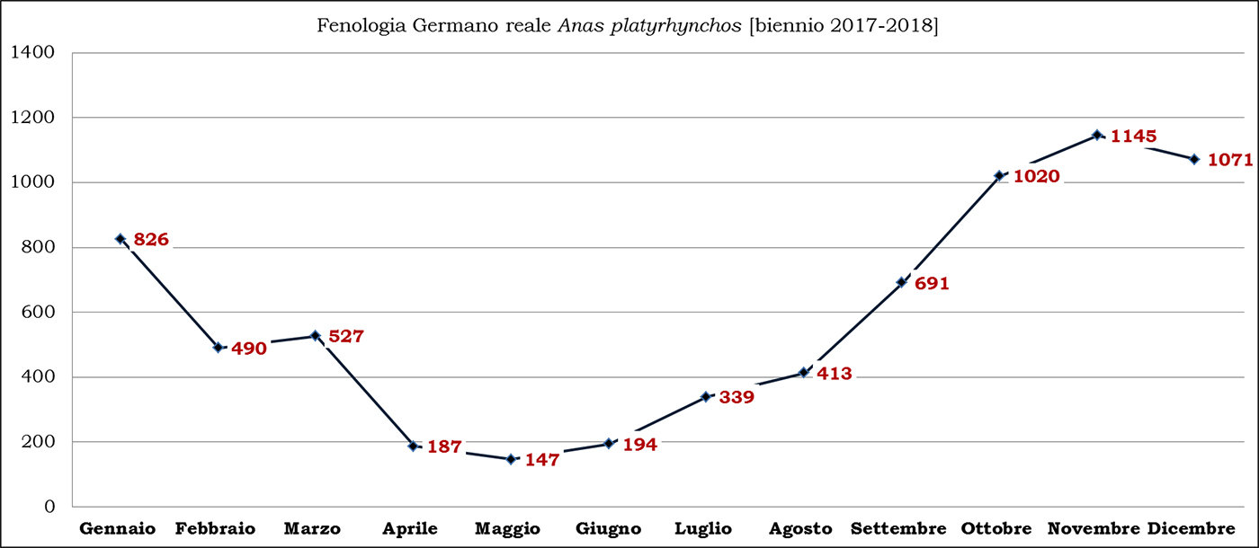 07-germano biennio 2017-2018