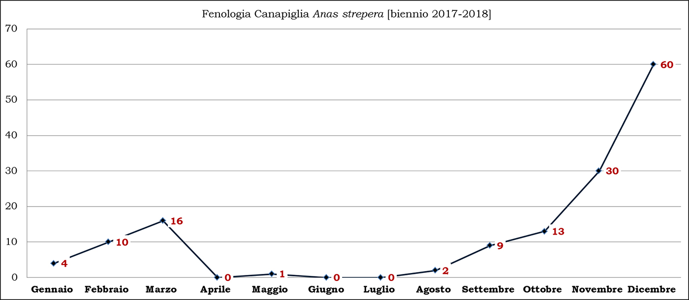 08-canapiglia biennio 2017-2018