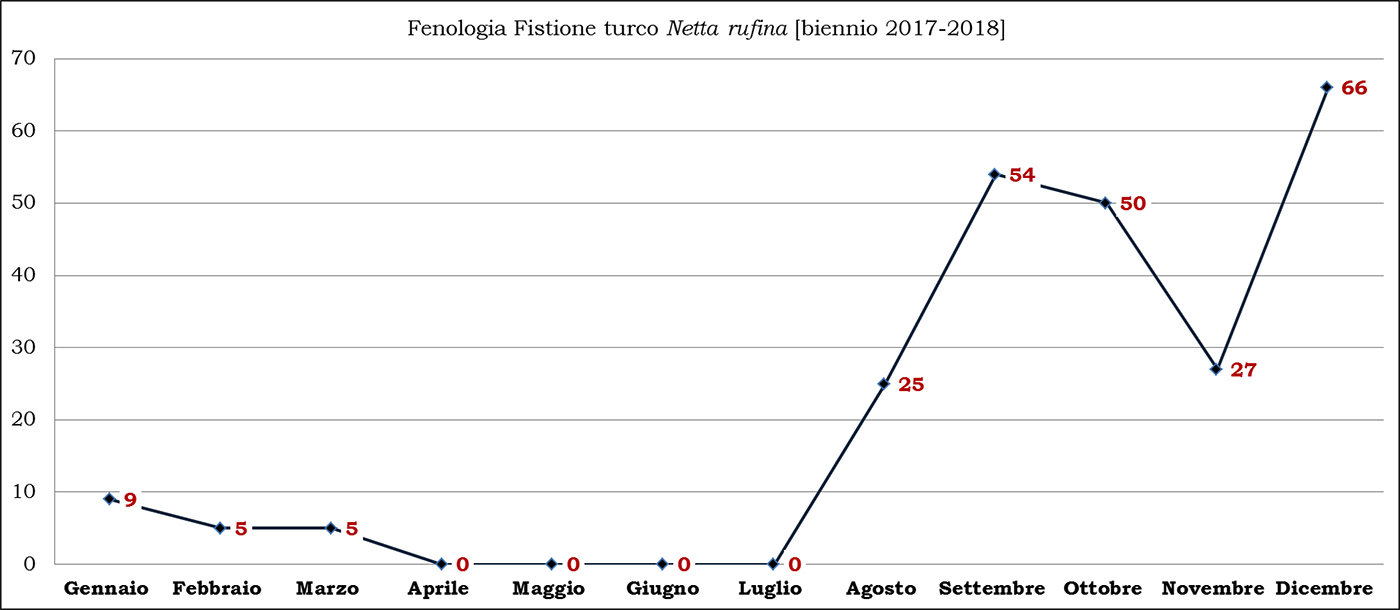 09-turco biennio 2017-2018