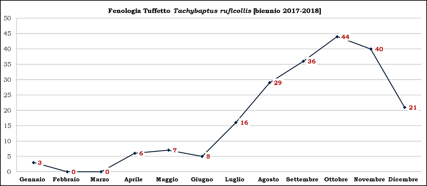 1-Tuffetto-biennio-2017-2018
