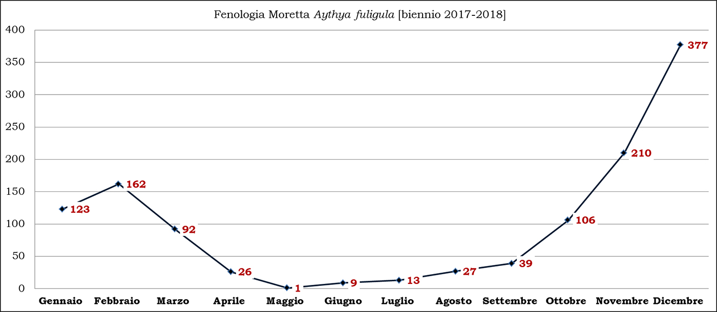 10-moretta biennio 2017-2018