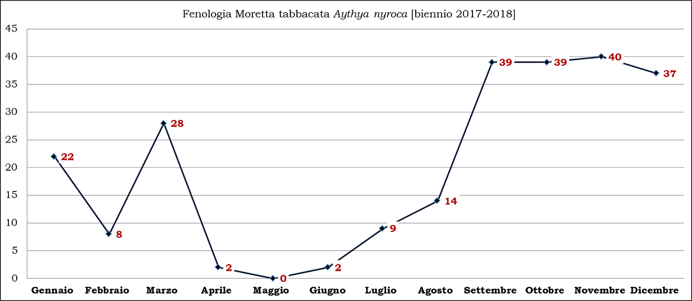 11-tabbacata biennio 2017-2018