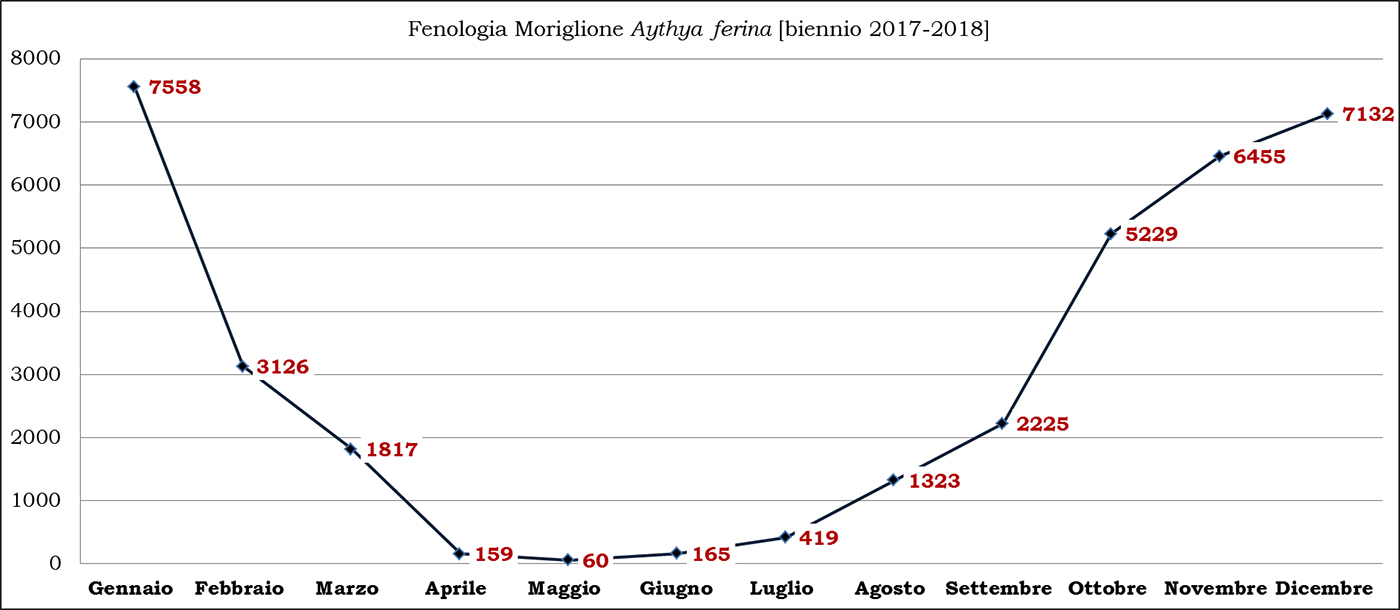 12-moriglione biennio 2017-2018