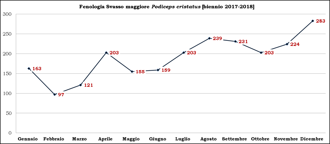 2-Svasso-maggiore-biennio-2017-2018