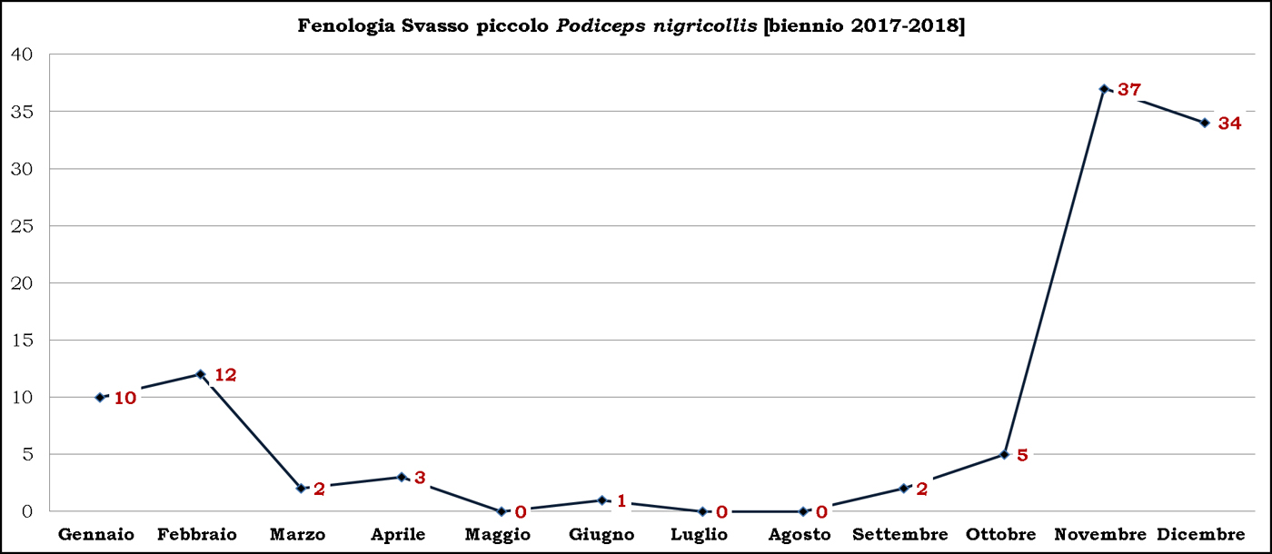 3-Svasso-piccolo-biennio-2017-2018