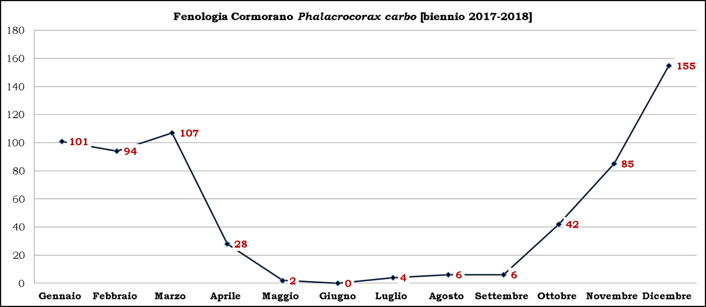 4-Cormorano-biennio-2017-2018