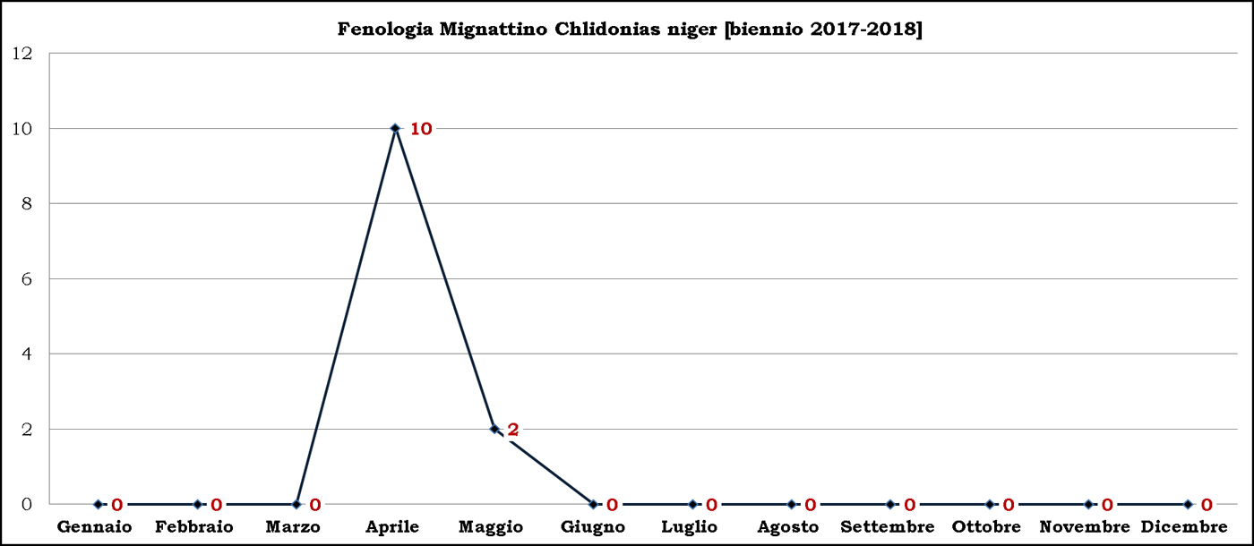 5-Mignattino 2017-2018