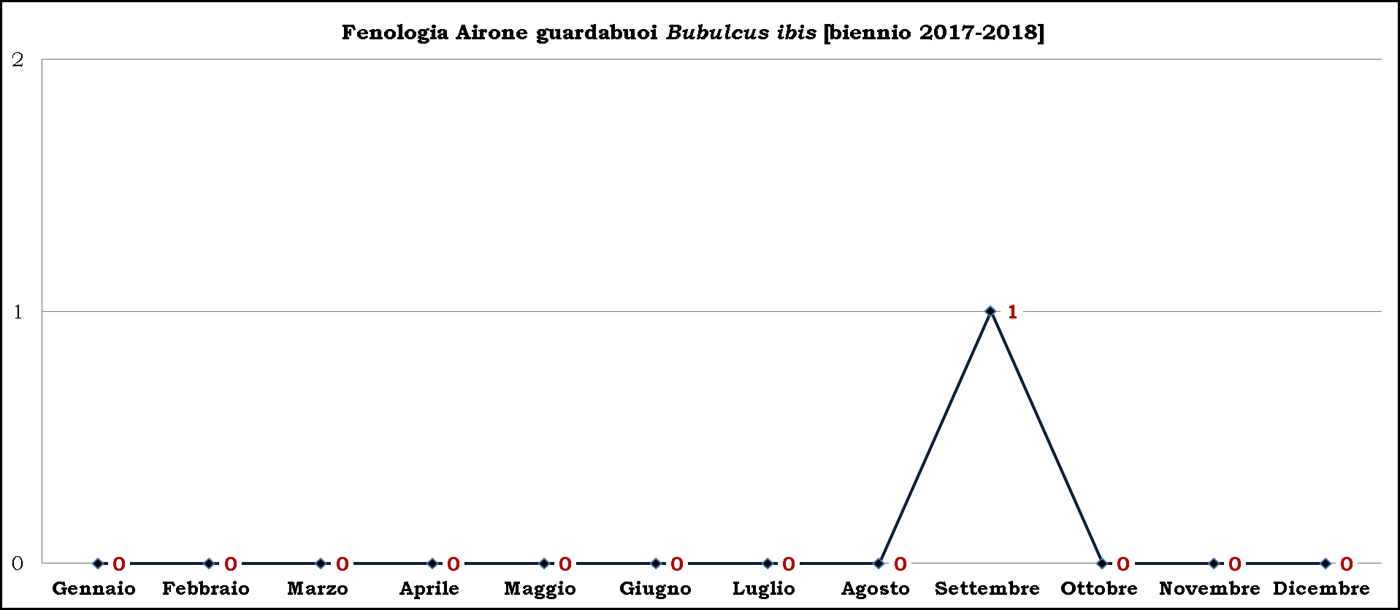 Airone-guardabuoi-2017-2018