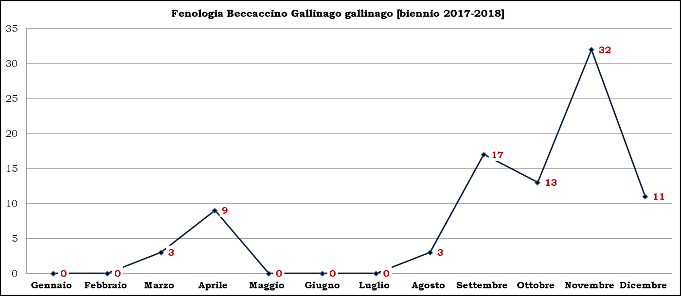 Beccaccino biennio 2017-2018