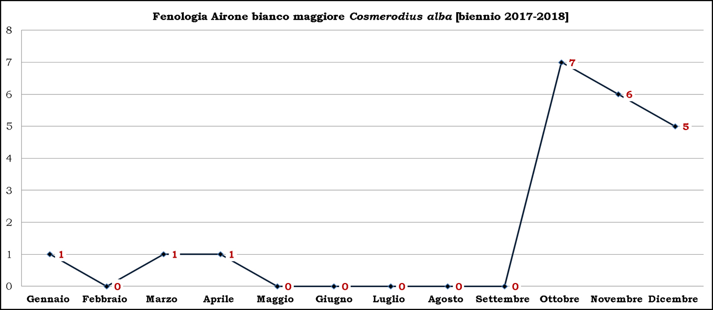 Bianco maggiore 2017-2018