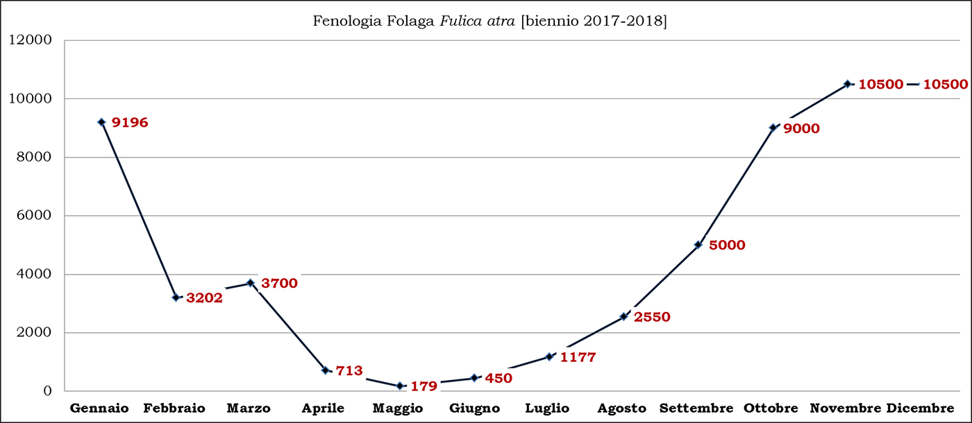Folaga biennio 2017-2018