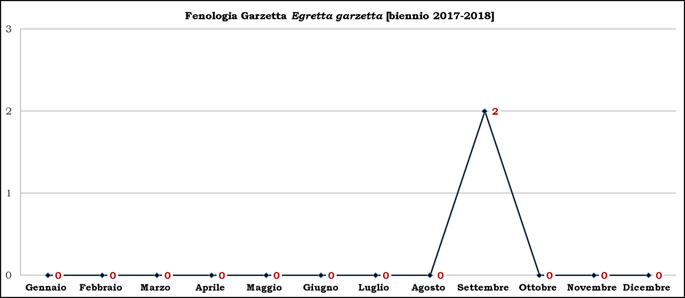 Garzetta 2017-2018