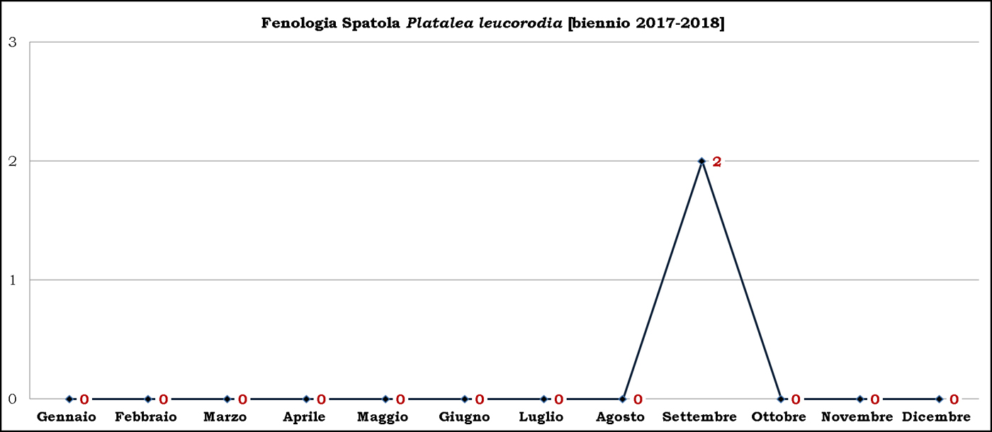 Spatola 2017-2018