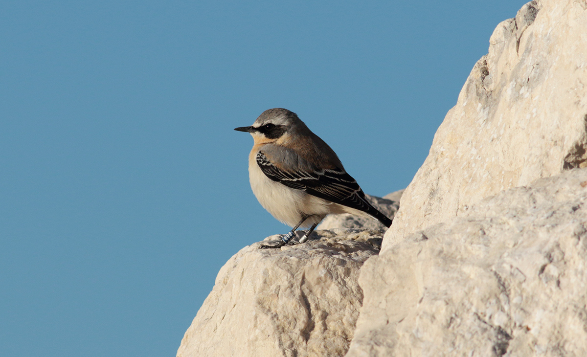 Gran Sasso 09.10.2019 -010188- e.strinella