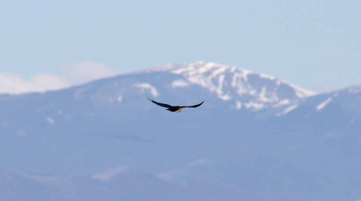 Gran Sasso aprile 2019 - eliseo strinella 888