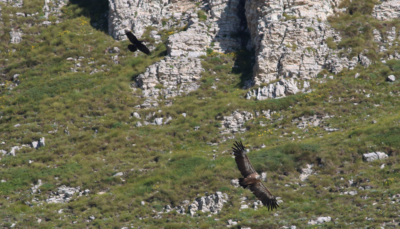 Gran Sasso 31.07.2018 -11- E. Strinella