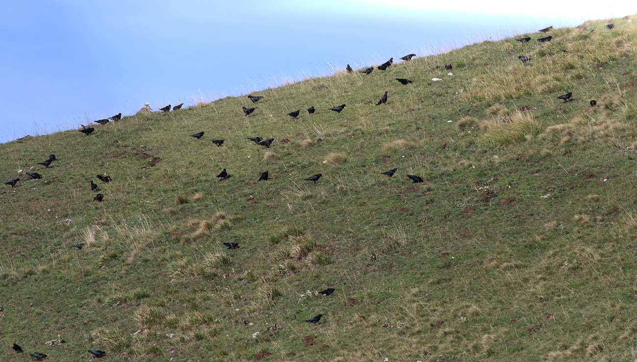 Gran Sasso 26 settembre 2018 E. Strinella -09-