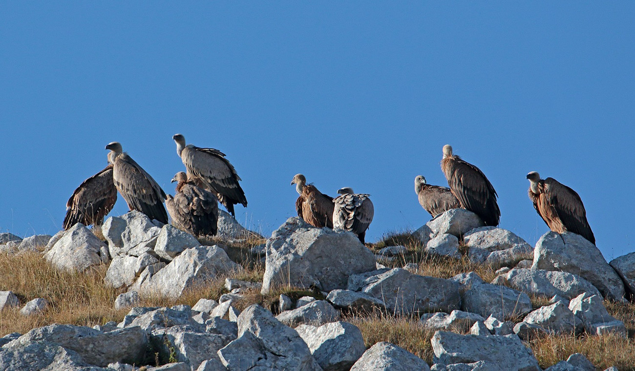 Gran Sasso 14.10.2018 - Maurizio Passacantando 2018 -9-