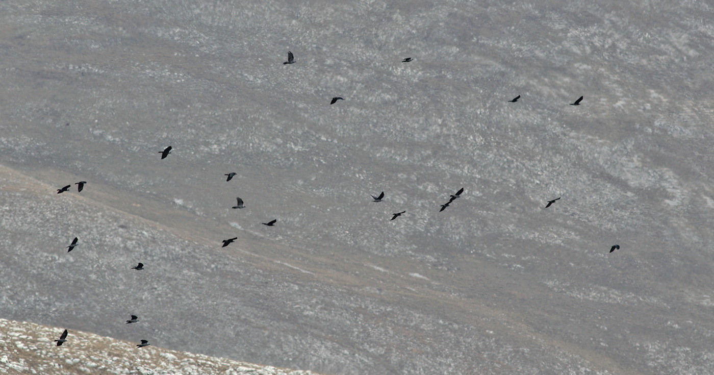 Gran Sasso 21 marzo 2019 -10- e.strinella