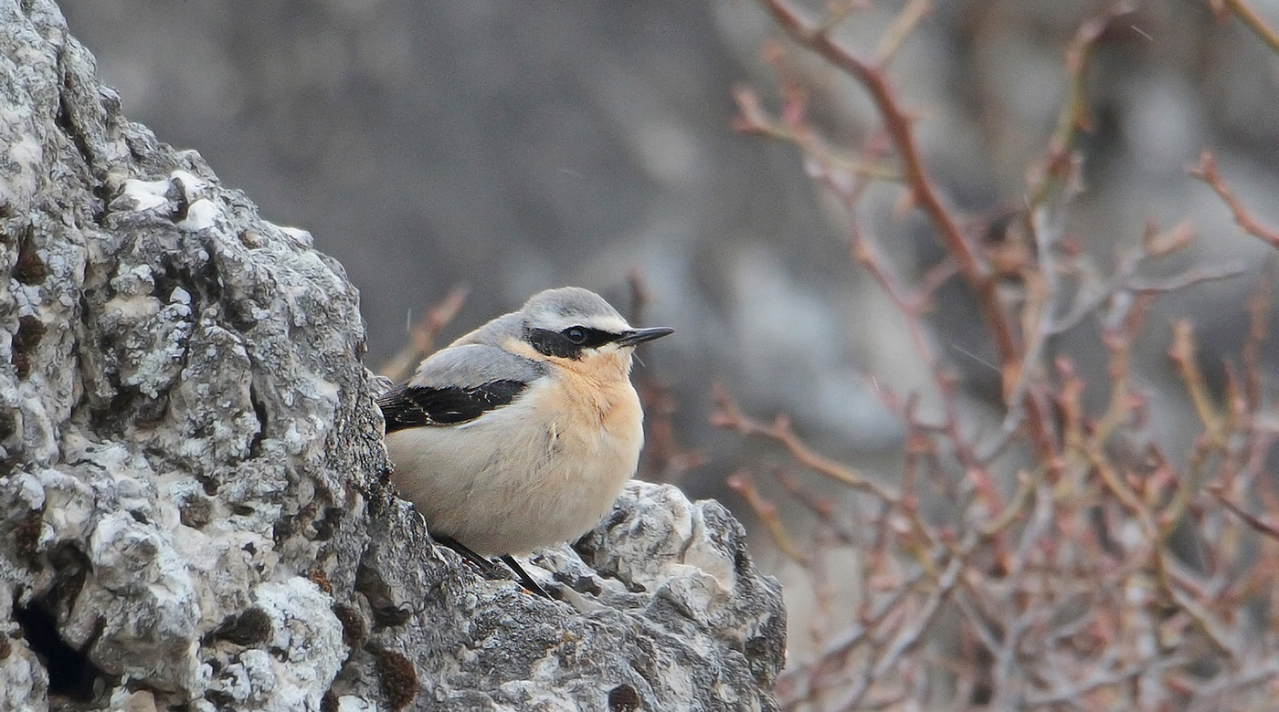 Gran Sasso 27 marzo 2019 -1- m.passacantando