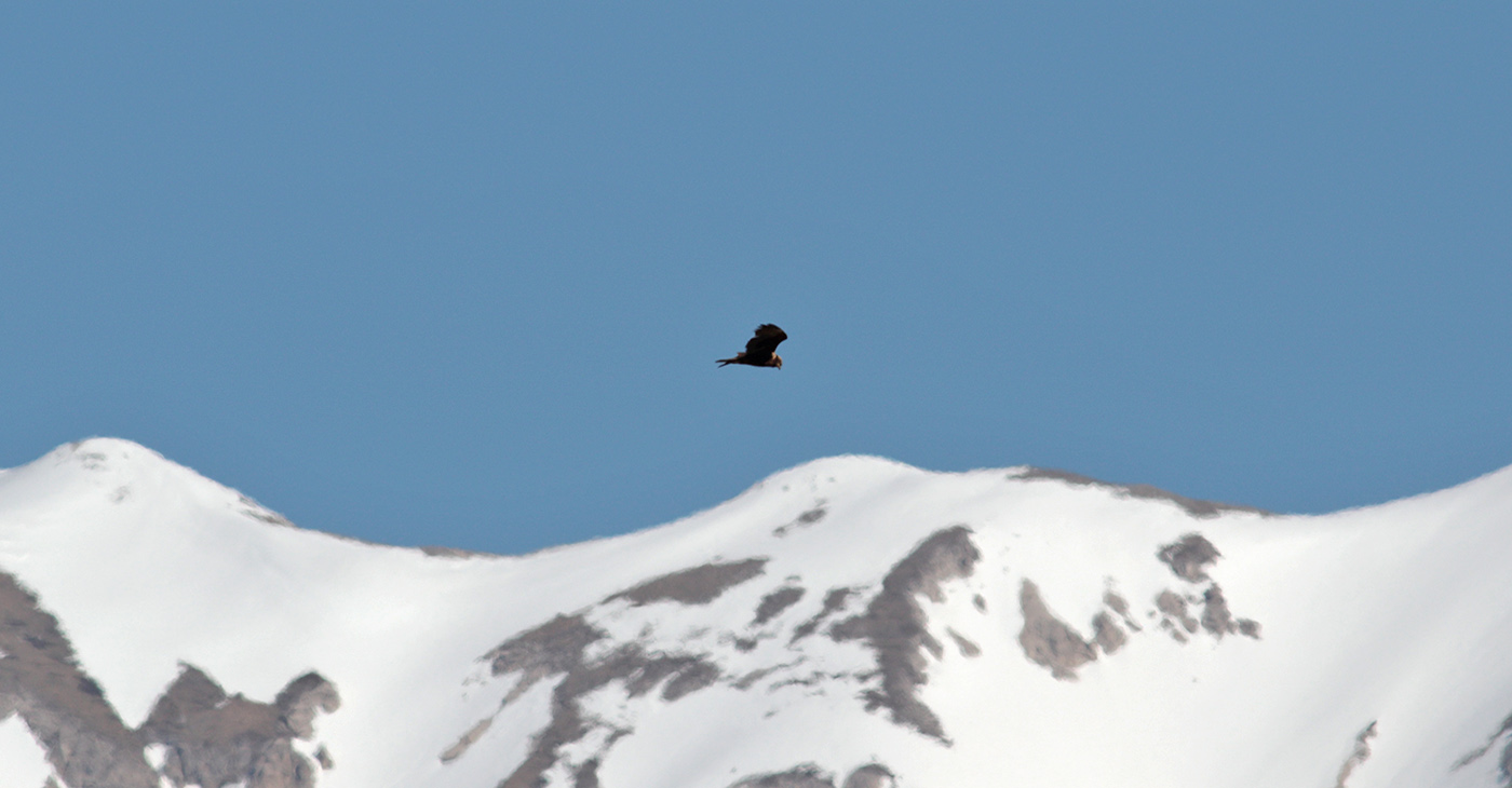 Gran Sasso 20.04.2019 -9- e.strinella