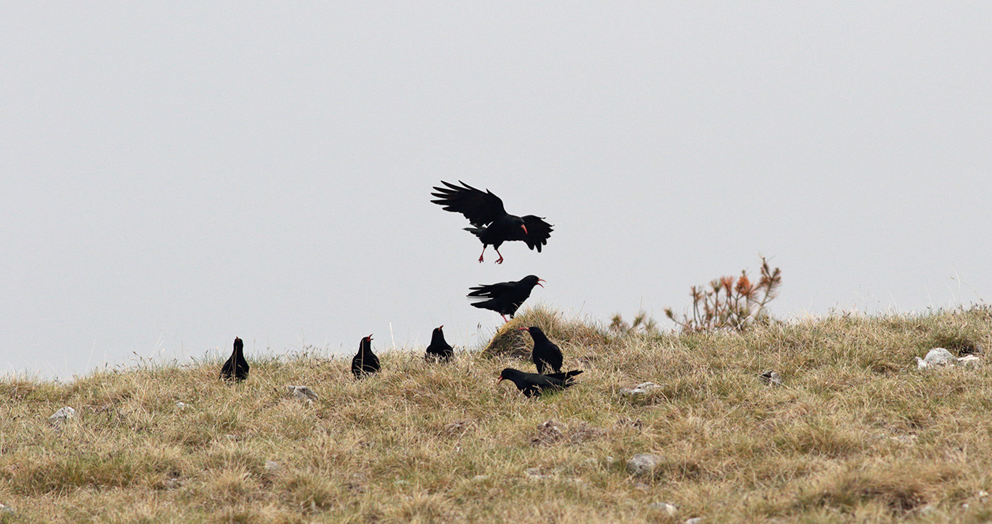 Gran Sasso 18.05.2019 -21- e.strinella