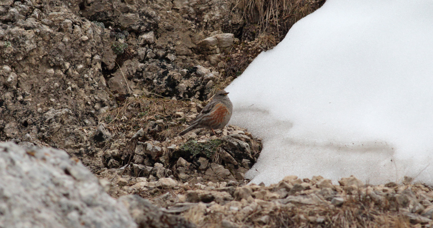 Gran Sasso 30.05.2019 -12- e.strinella