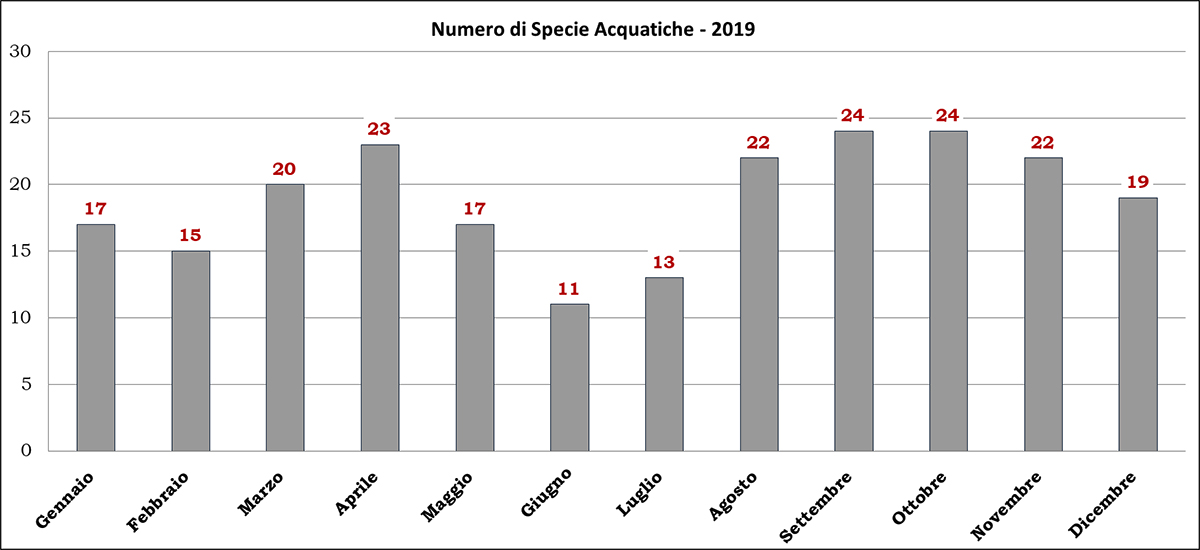 numero-specie-acquatiche-anno 2019