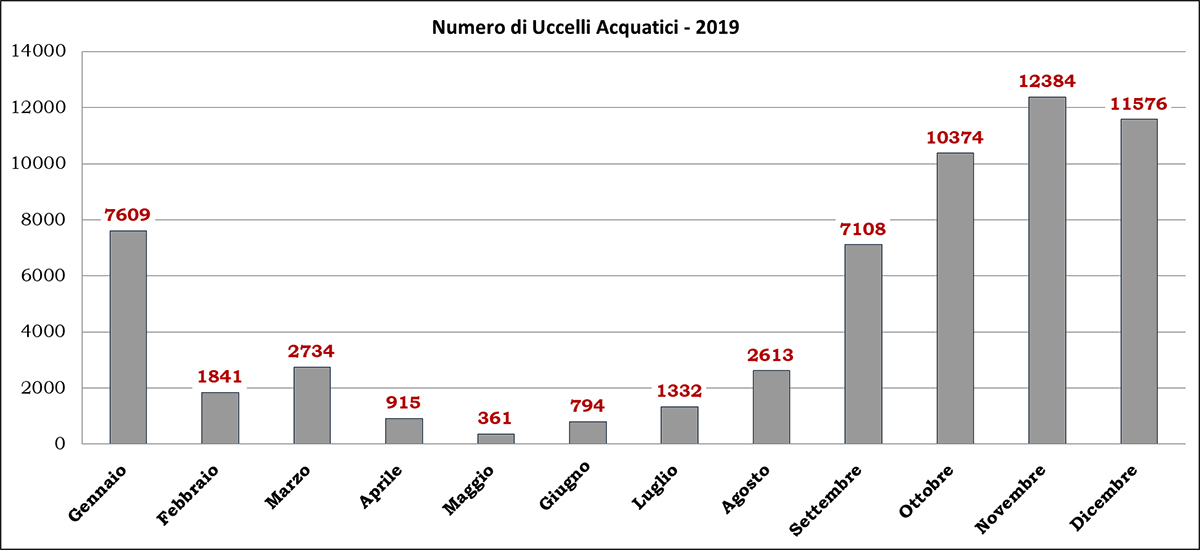 numero-uccelli-acquatici-anno 2019