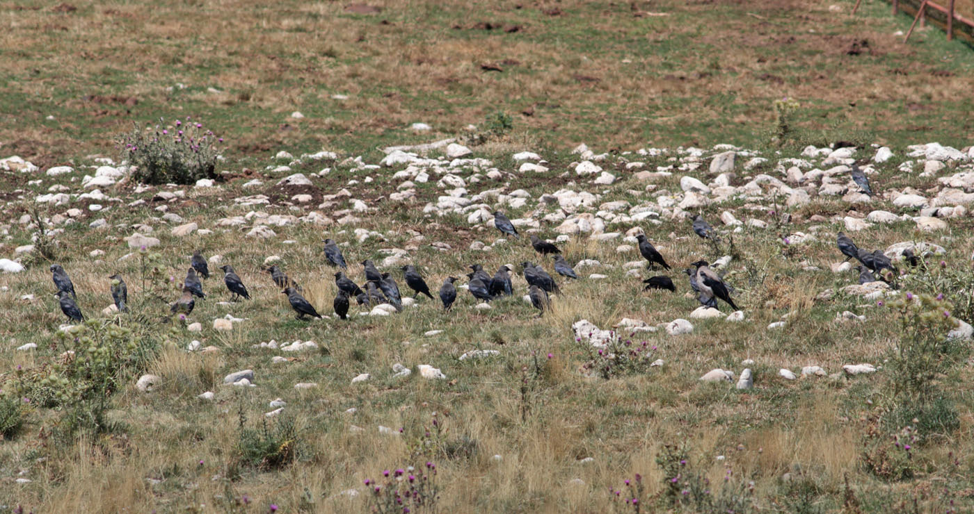 Gran Sasso 05.08.2019 -11- e. strinella