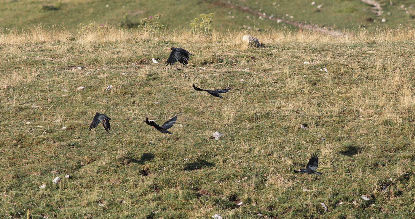 Gran Sasso 09.08.2019 -7- e.strinella