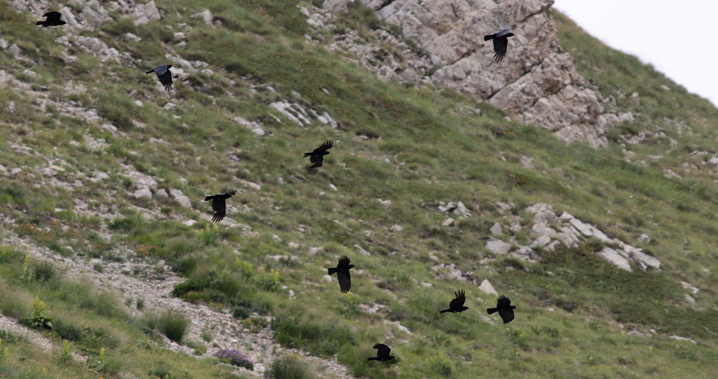 Gran Sasso 15.07.2019 -14- e.strinella