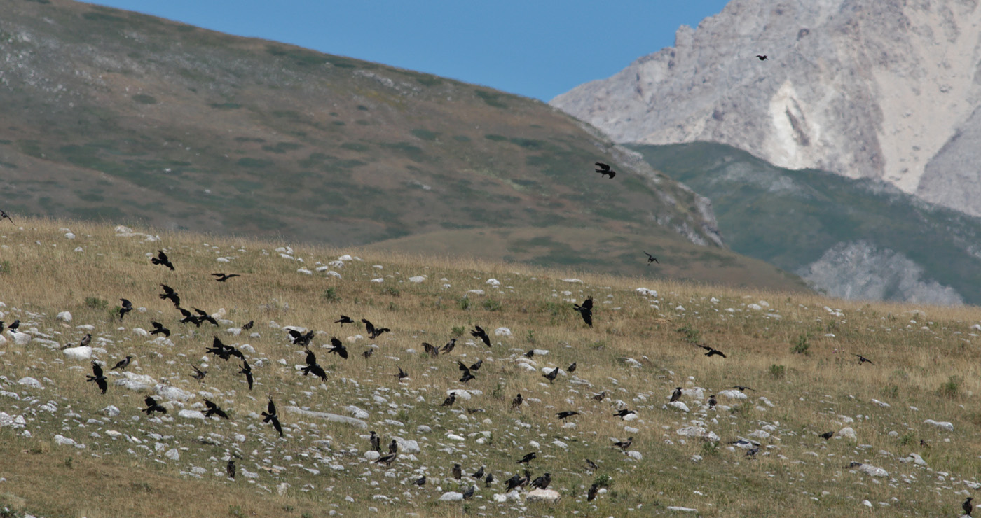 Gran Sasso 24.07.2019 -9- e.strinella