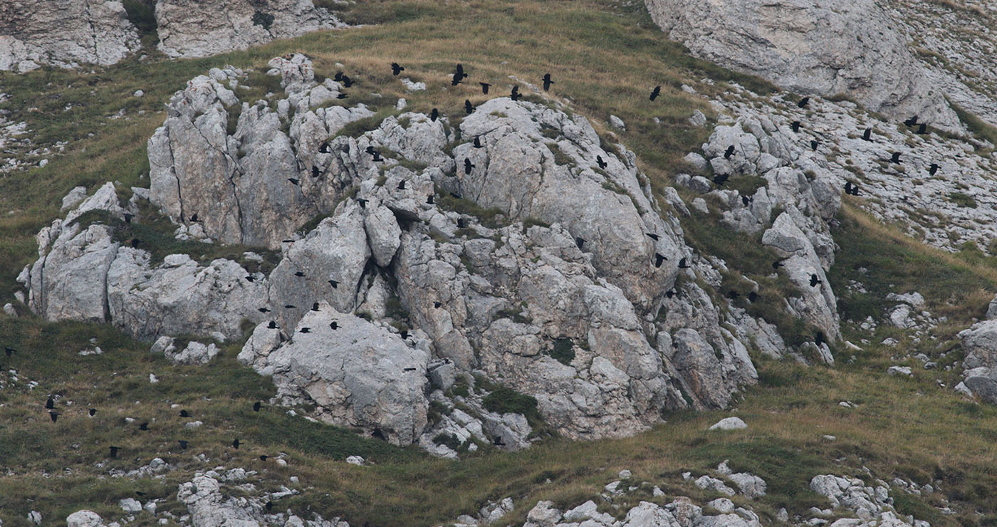 Gran Sasso 24.08.2019 -13- e.strinella