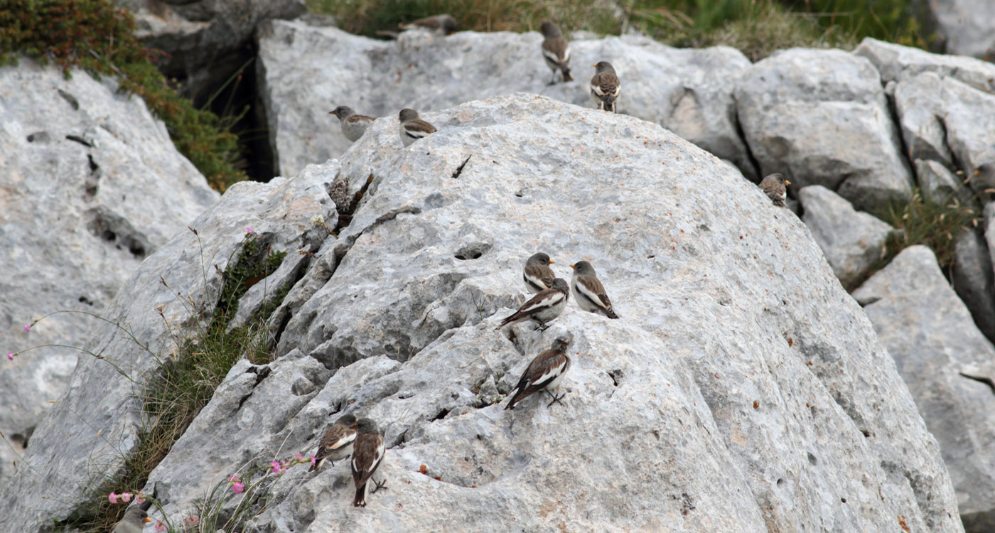 Gran Sasso luglio 2019 -stazione 124-