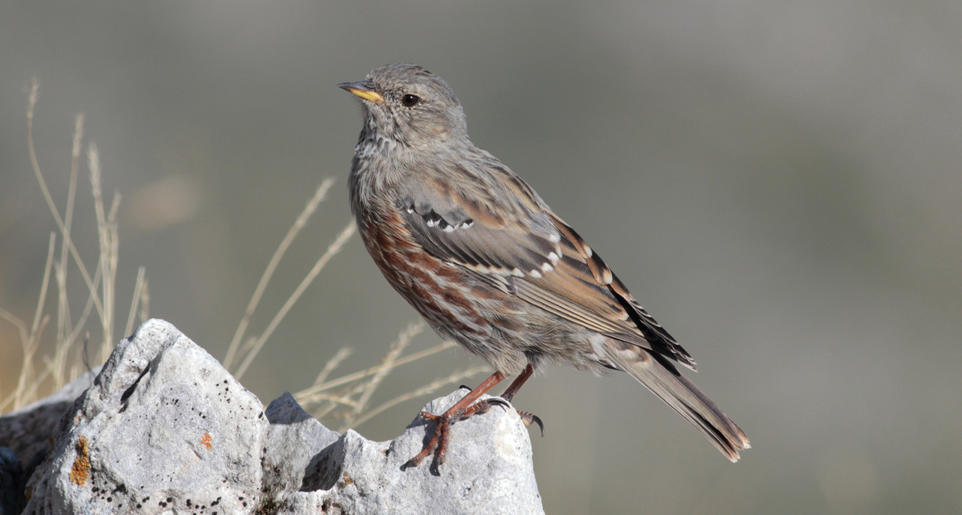 Gran Sasso 13 settembre 2019 -18-18- e.strinella