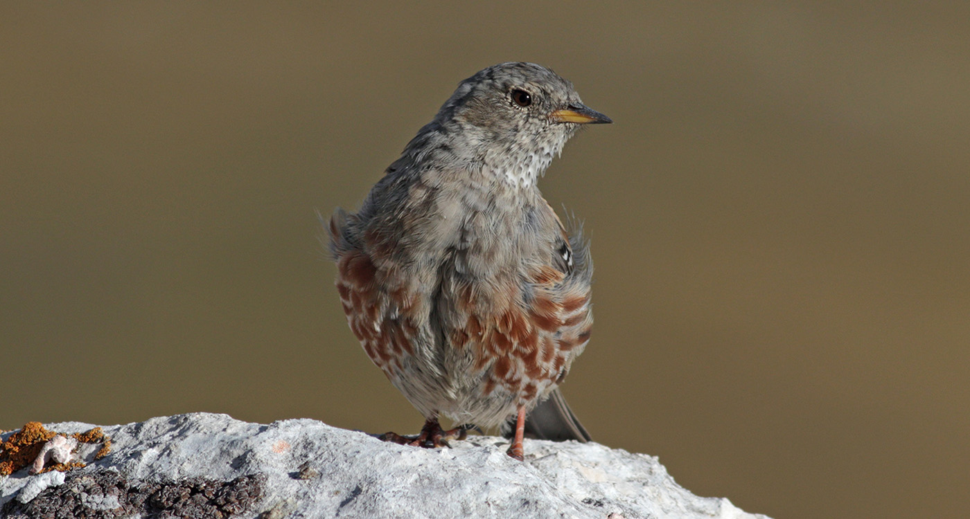 Gran Sasso 13 settembre 2019 -19-19- e.strinella