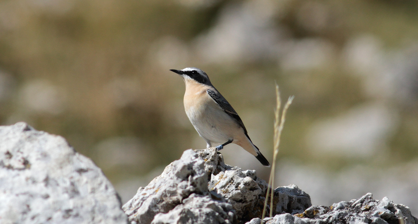 Gran Sasso 18.09.2019 -13-13- e.strinella