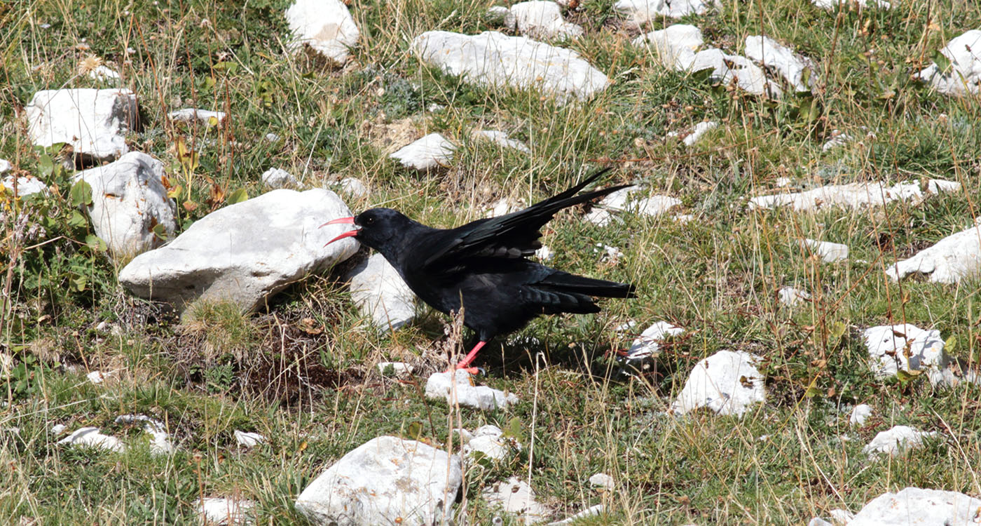 Gran Sasso 18.09.2019 -15-15- e.strinella