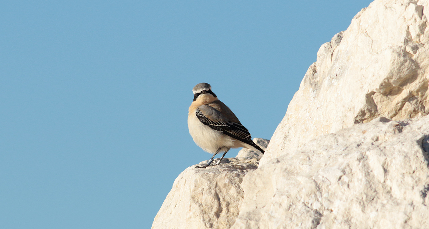 Gran Sasso 09.10.2019 -01013- e.strinella