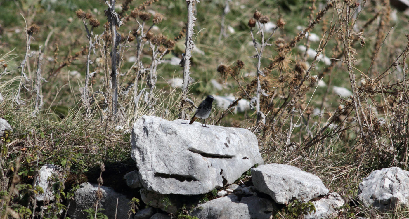 Gran Sasso 14.10.2019 -0100010- e.strinella