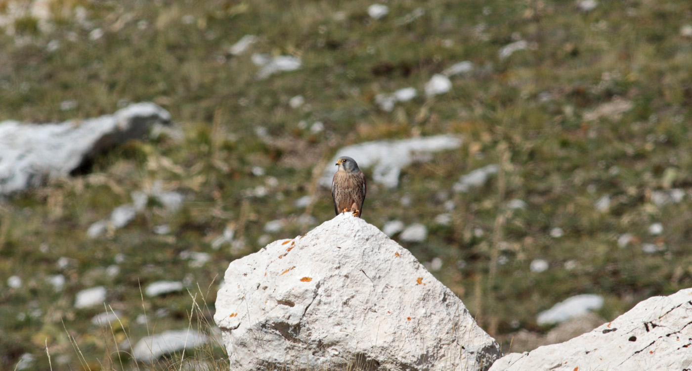 Gran Sasso 14.10.2019 -0100013- e.strinella