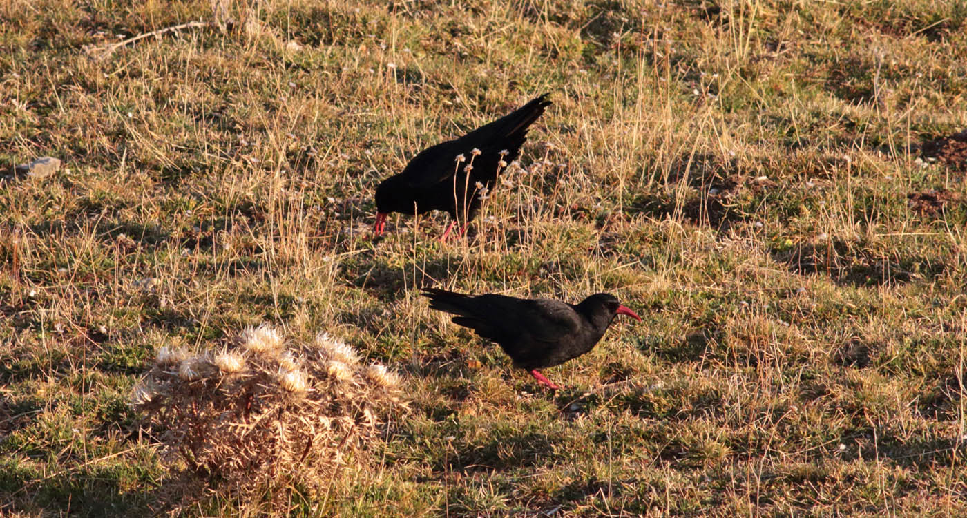 Gran Sasso - 21 ottobre 2019 -1119- e.strinella