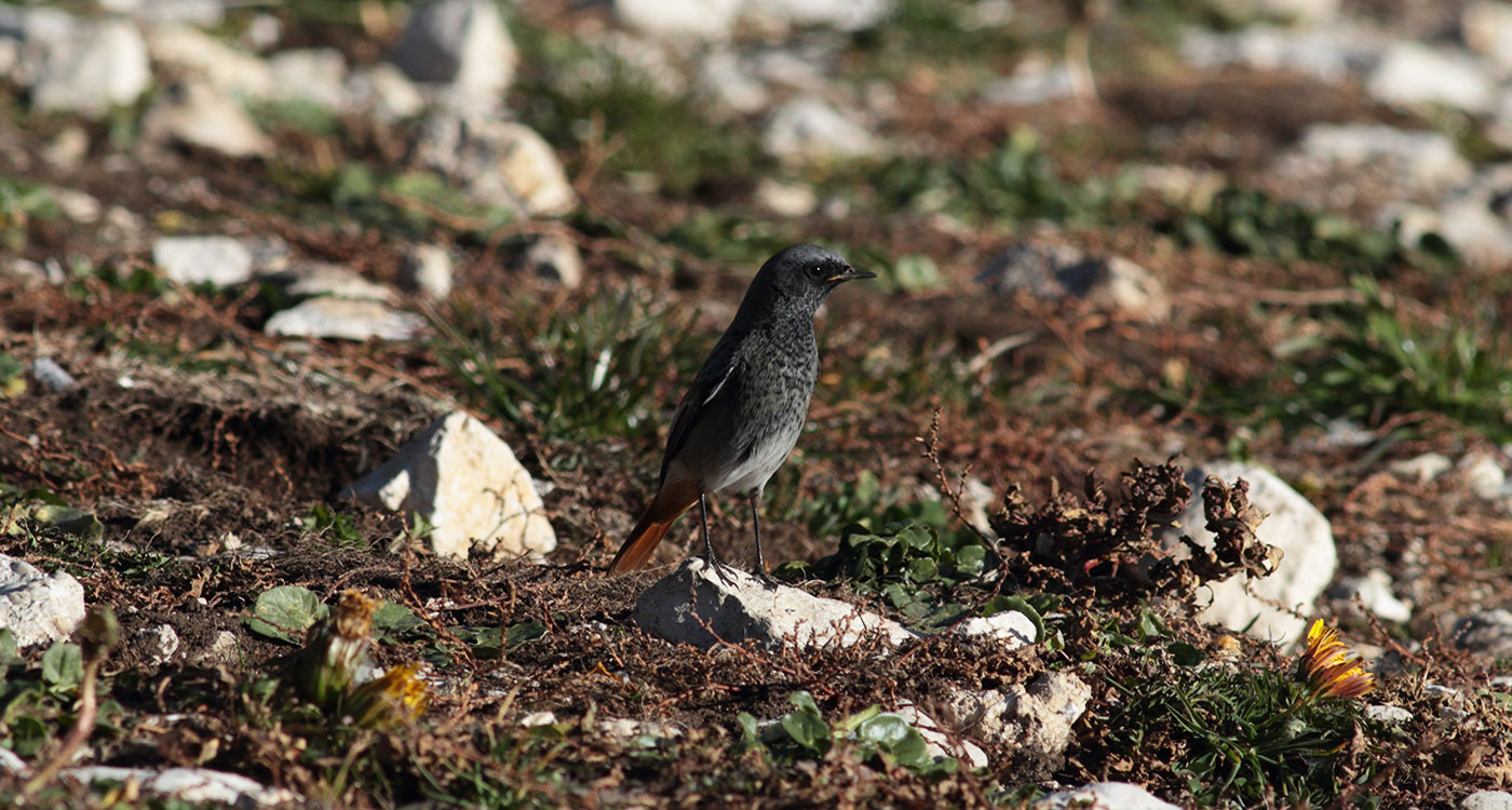 Gran Sasso - 28 ottobre 2019 -1616- e.strinella