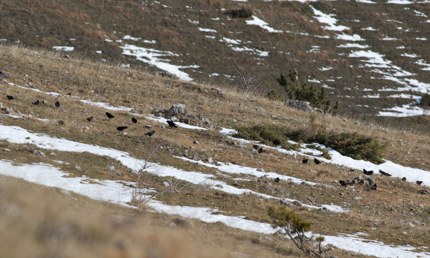 Gran Sasso - 17.01.2019 e.strinella -0011011-